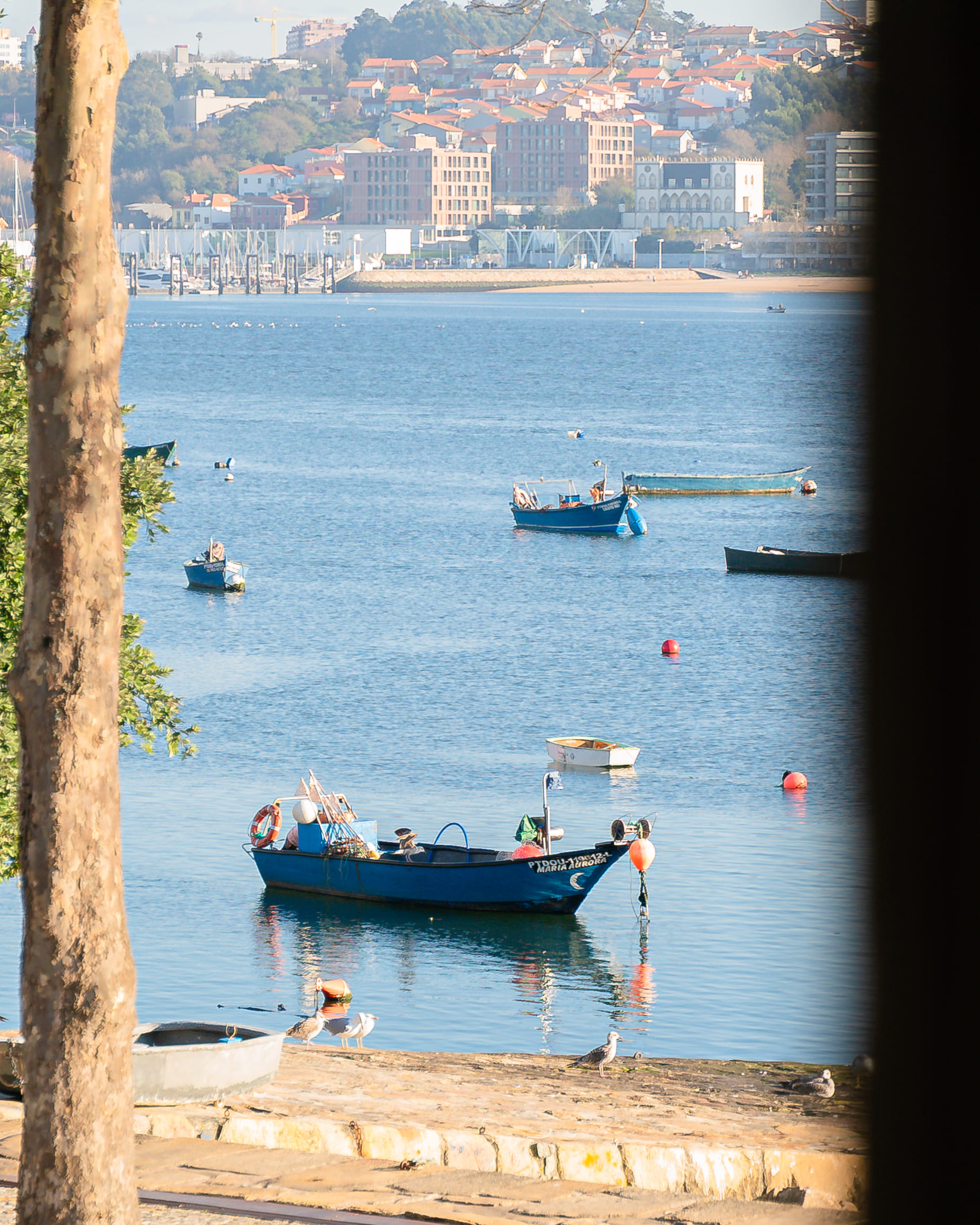 Restaurante Foz do Douro